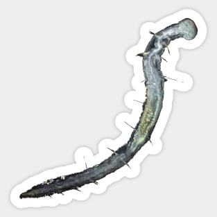 Aeolosoma worm under the microscope Sticker